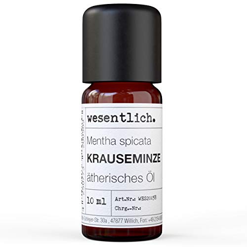 Wesentlich. Krauseminze