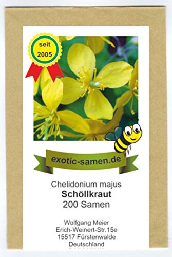 Exotic-Samen Schöllkraut