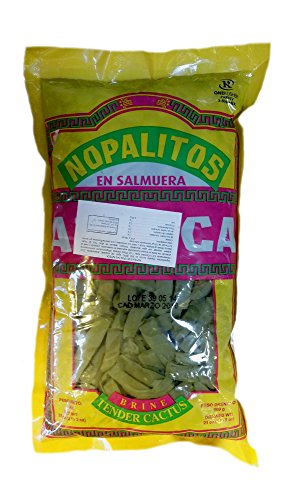 Azteca Kaktusblätter