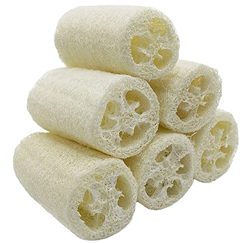 Voarge Luffa