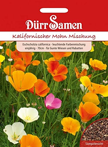 Dürr-Samen Kalifornischer Mohn