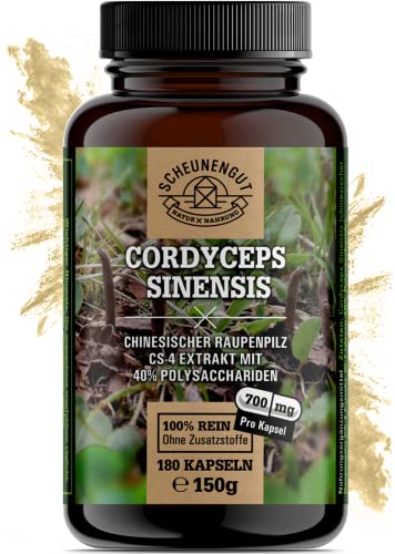 Scheunengut Cordyceps